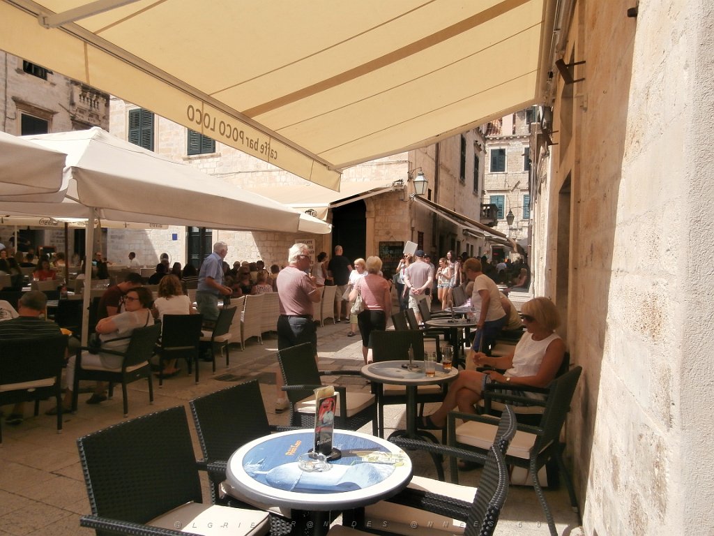 P9070148.JPG