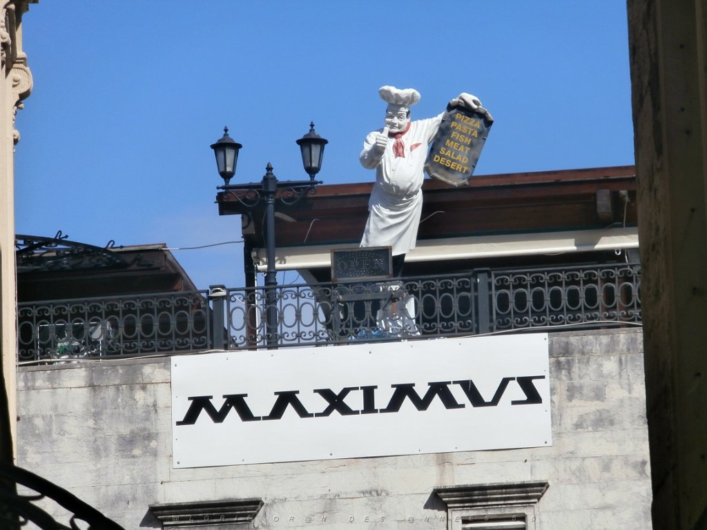 P9080178.JPG