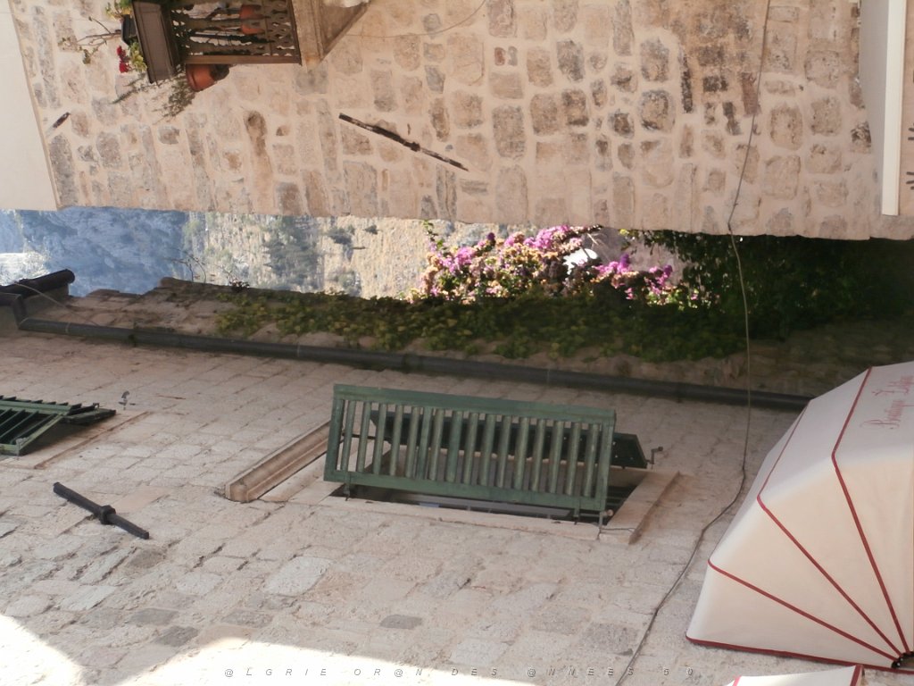 P9080187.JPG