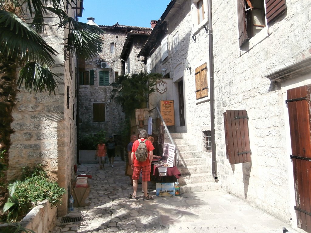 P9080200.JPG