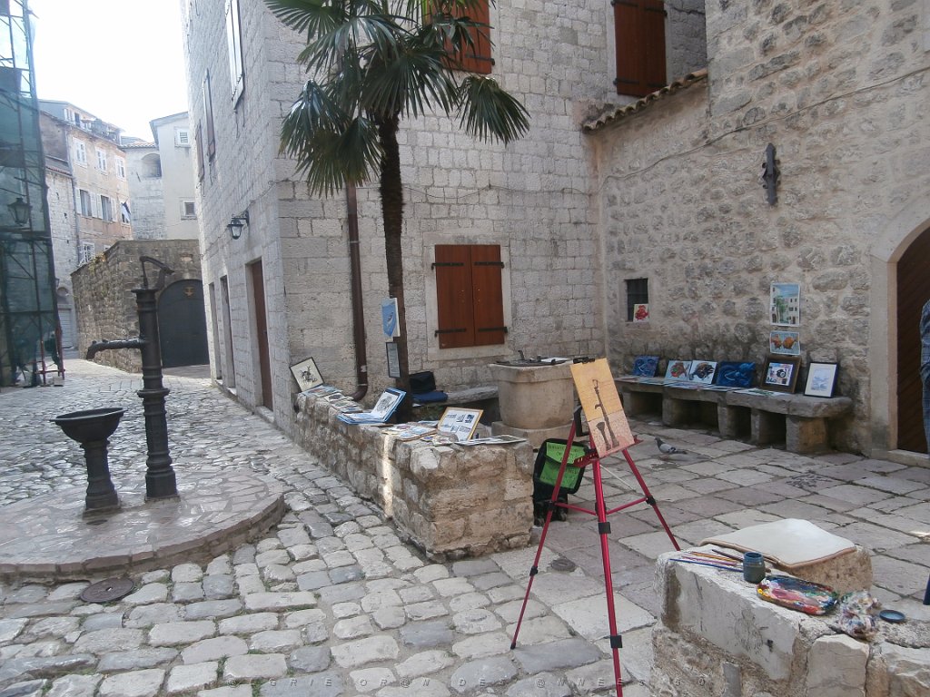 P9080201.JPG