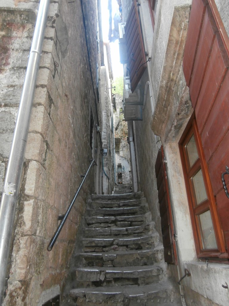 P9080204.JPG