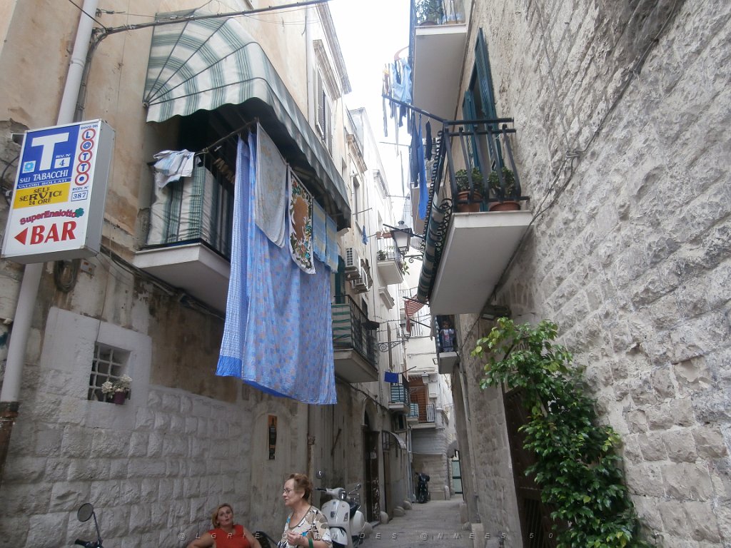 P9090239.JPG