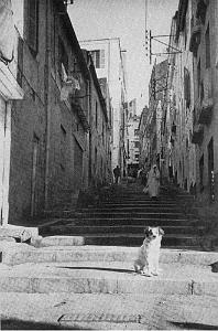 rue-de-genes