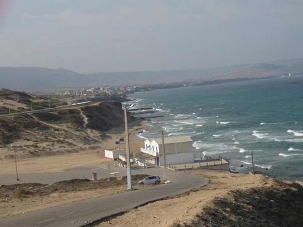 P1010390.JPG