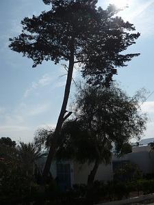 P1010417