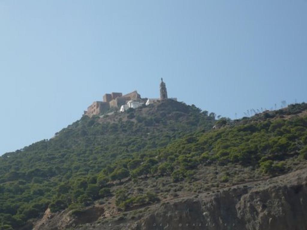 P1010455.JPG