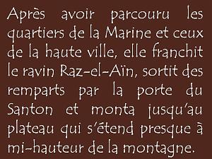 Diapositive24