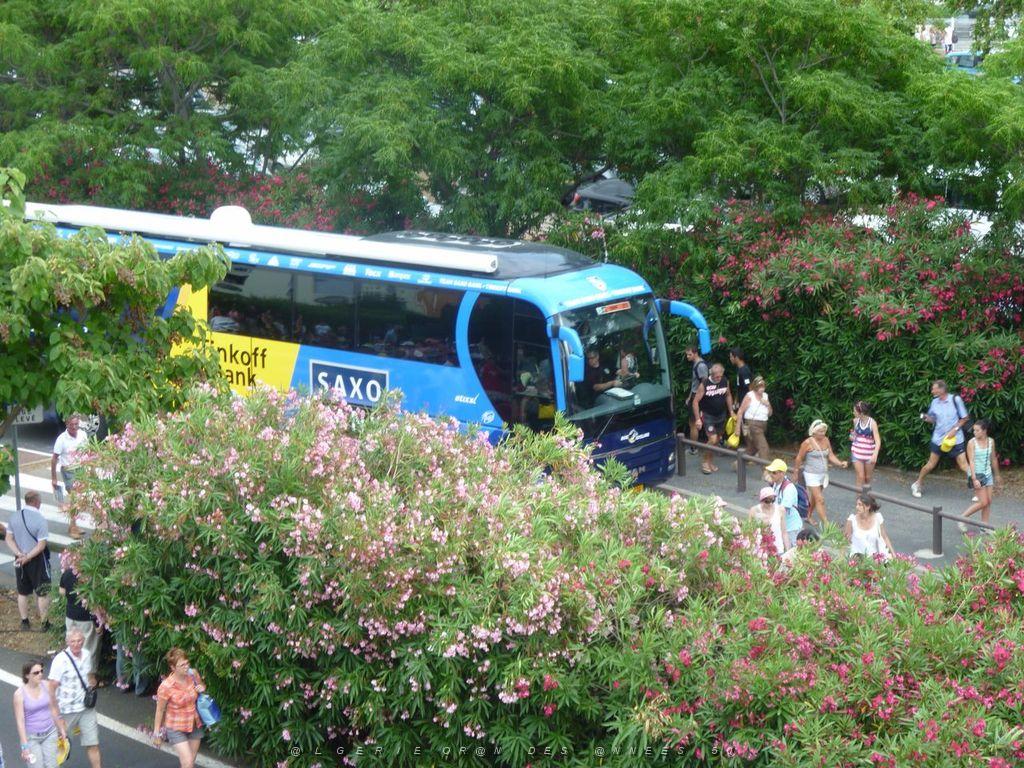 P1080031.JPG