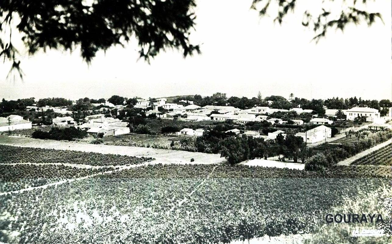 Gouraya.jpg
