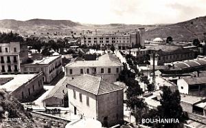 Bou-Hanifia