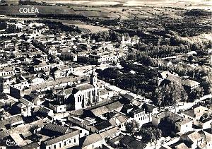 Colea