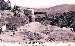 Nedroma