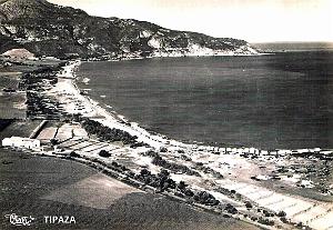 Tipaza