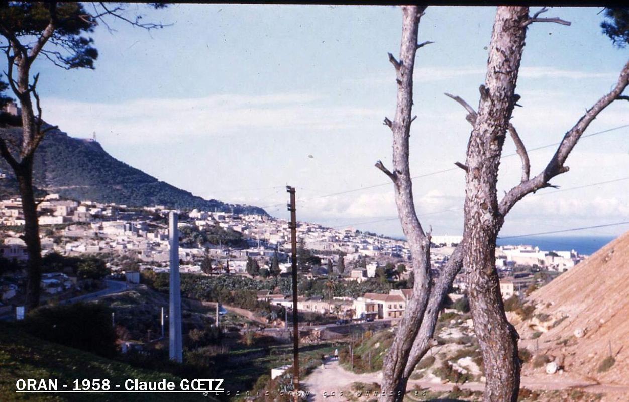 app00027.jpg