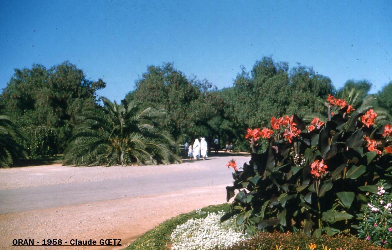 app00035.jpg