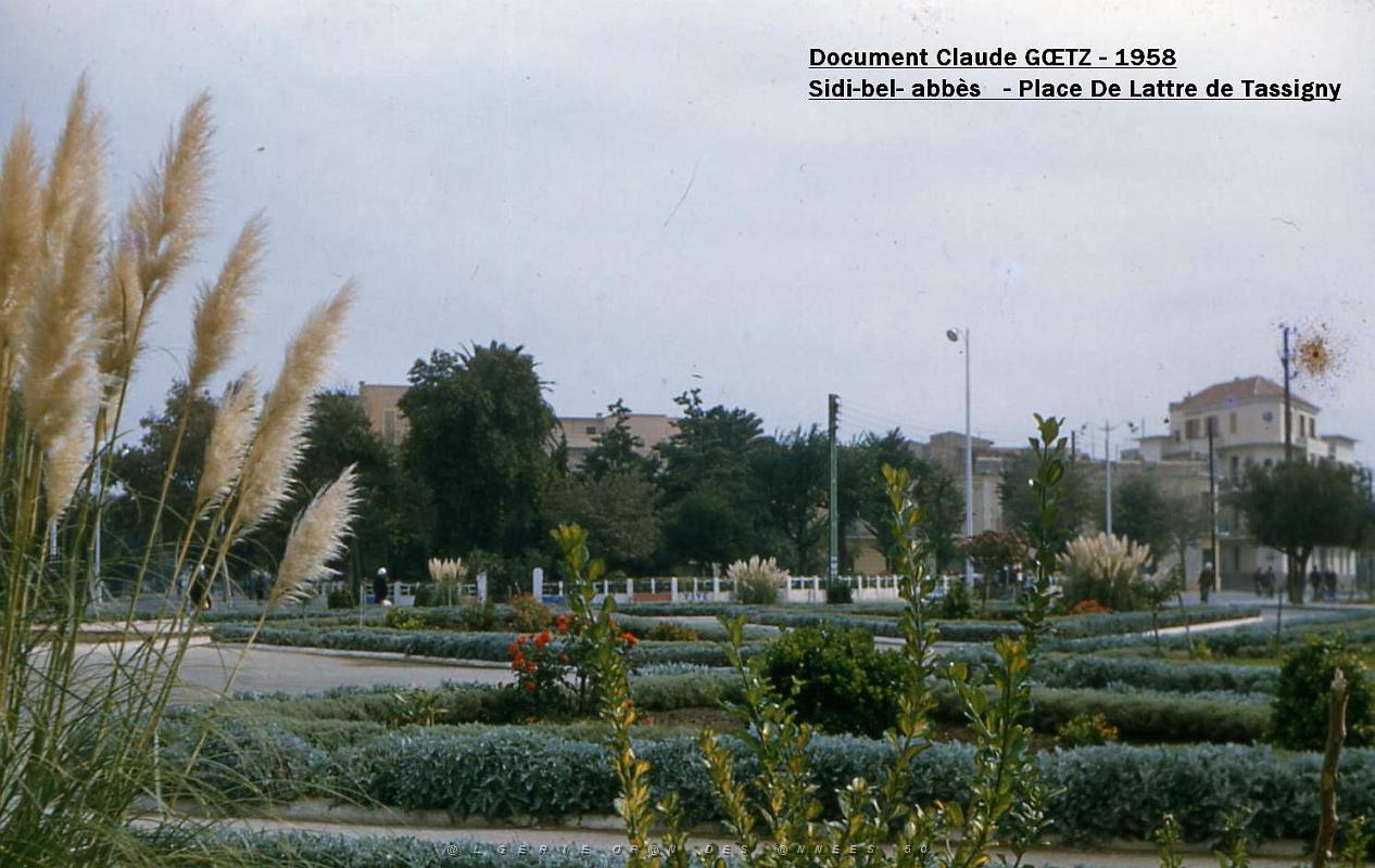 app00036.jpg