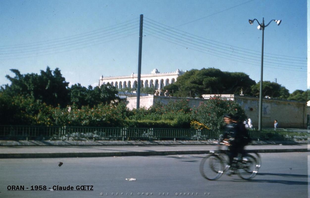 app00040.jpg