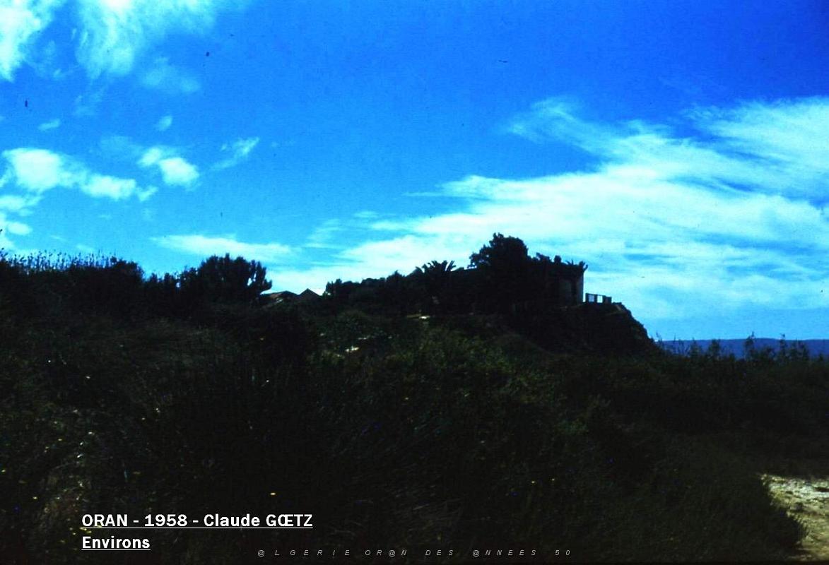 app00047.jpg