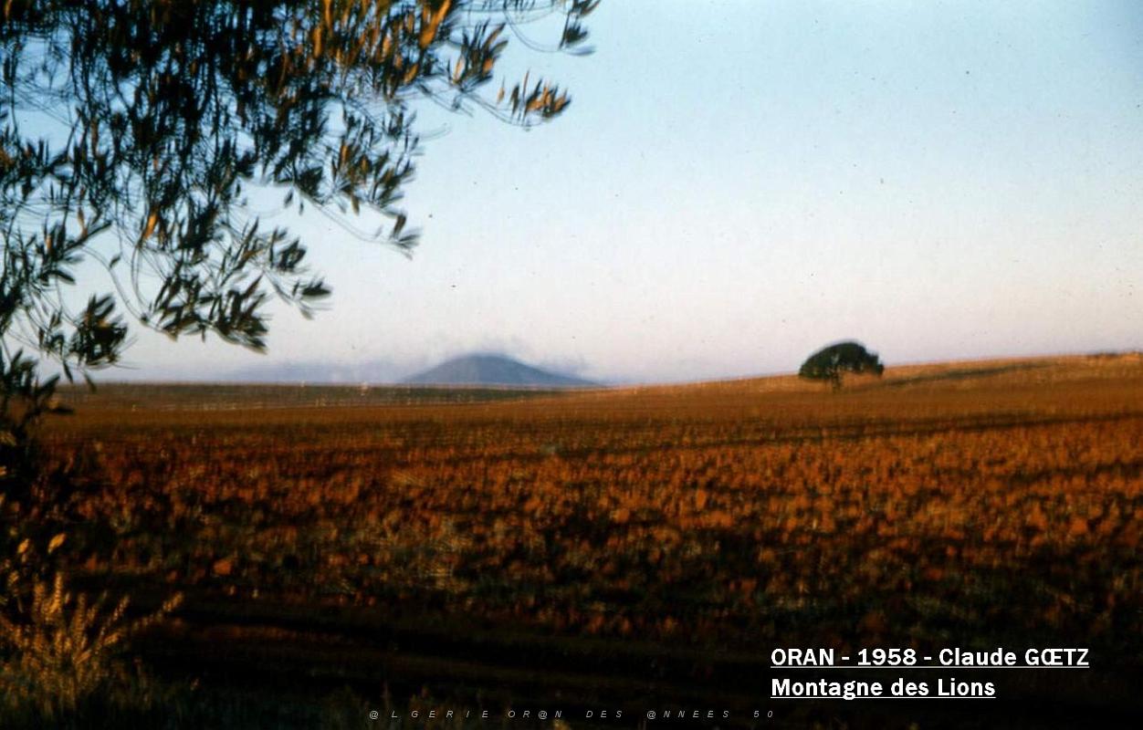 app00048.jpg