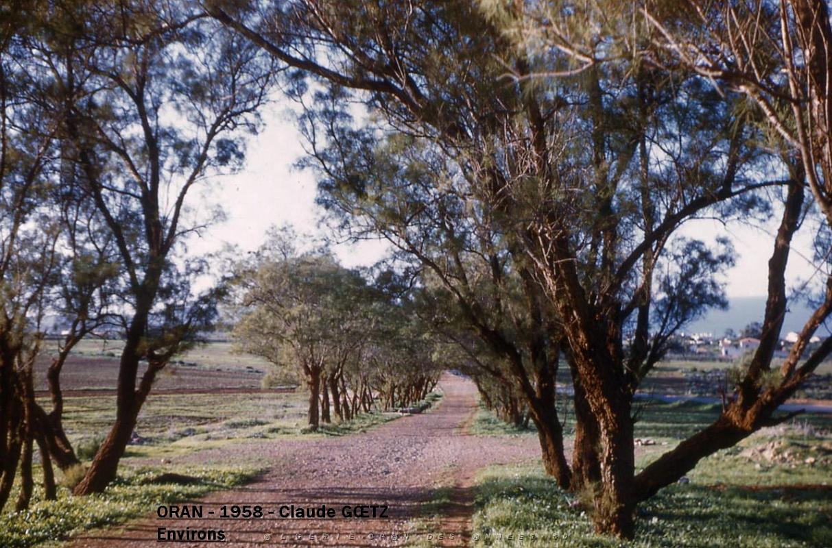 app00074.jpg