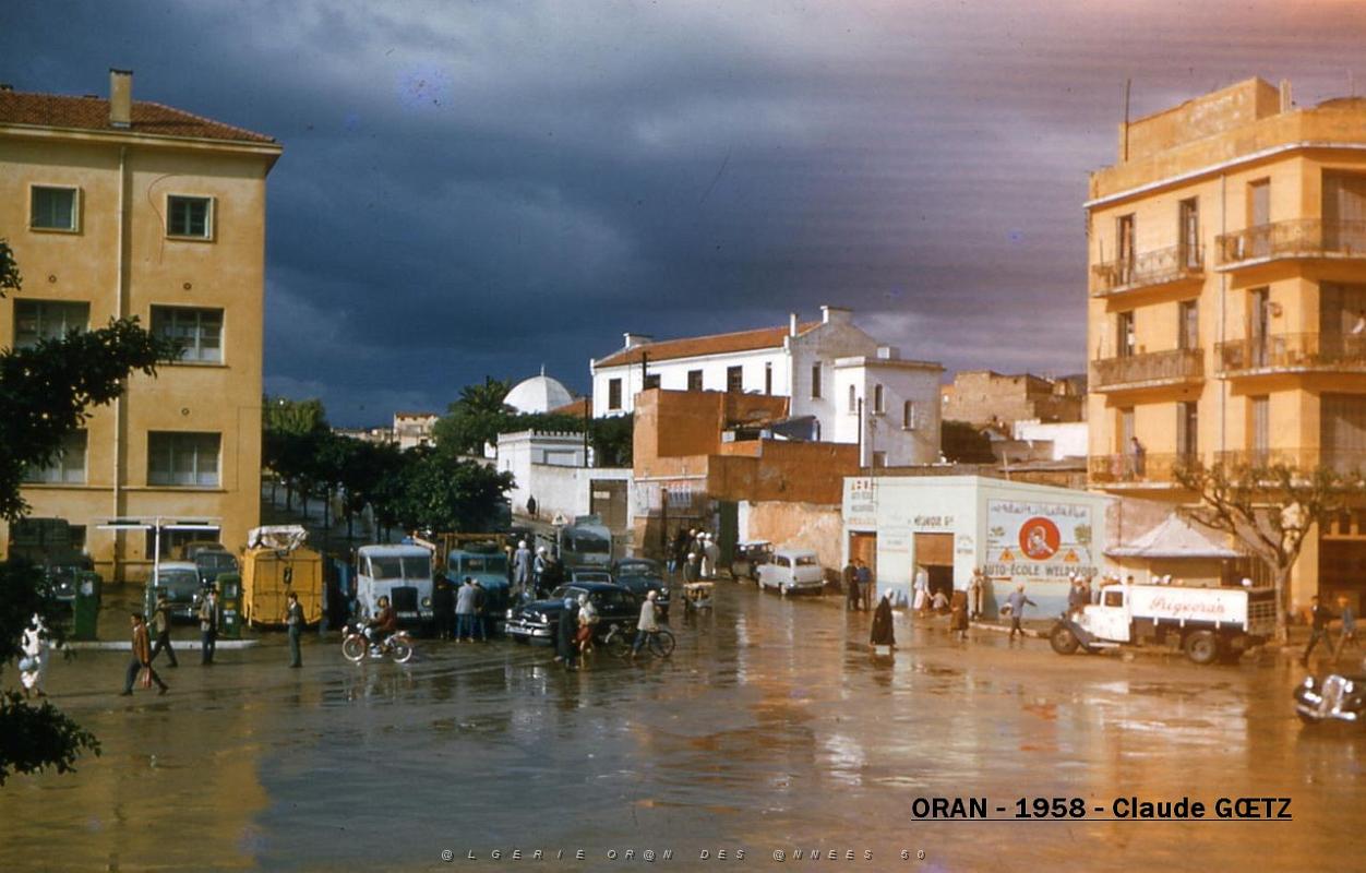 app00084.jpg
