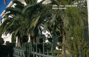 app00034