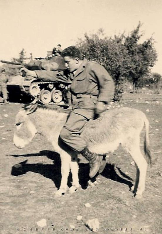 ANE-5.jpg