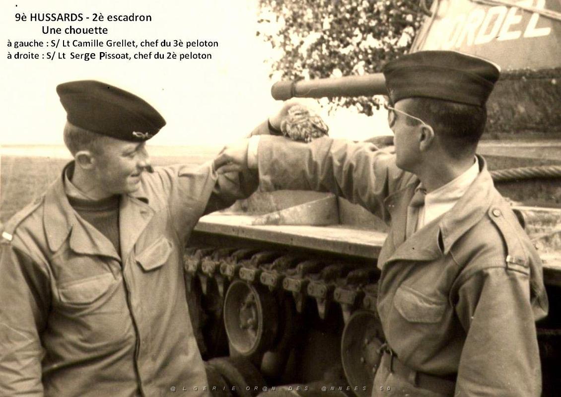 CHOUETTE.jpg