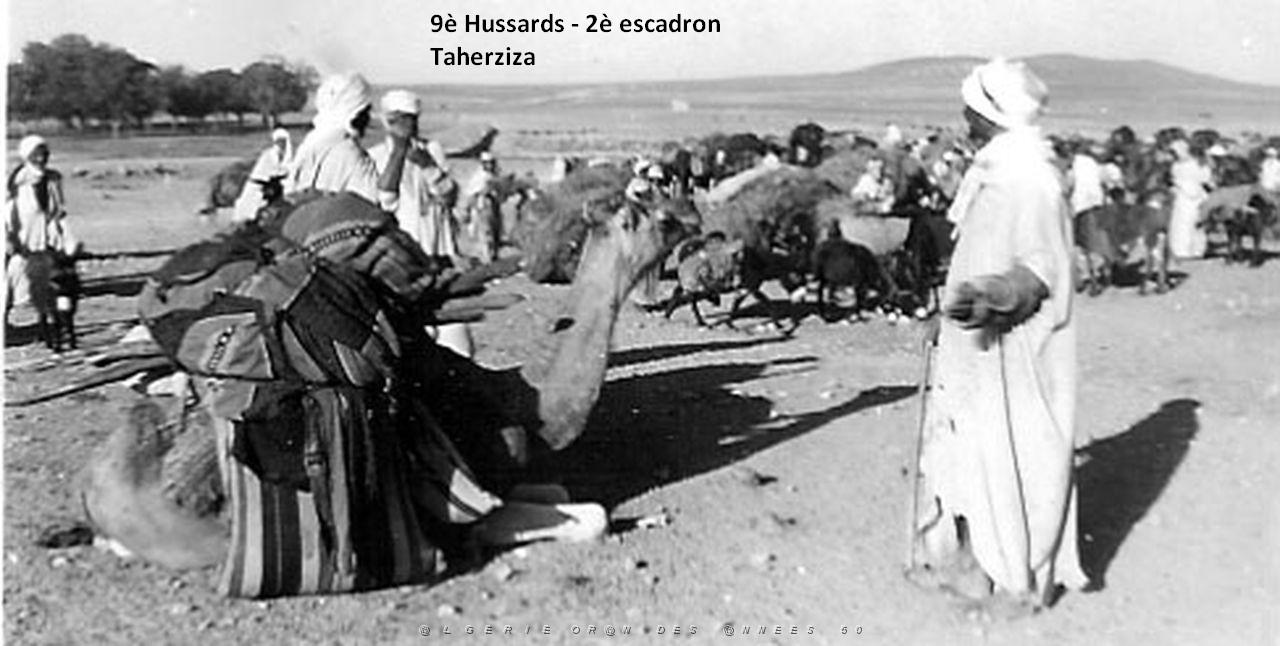 TAHERZIZA-1.jpg