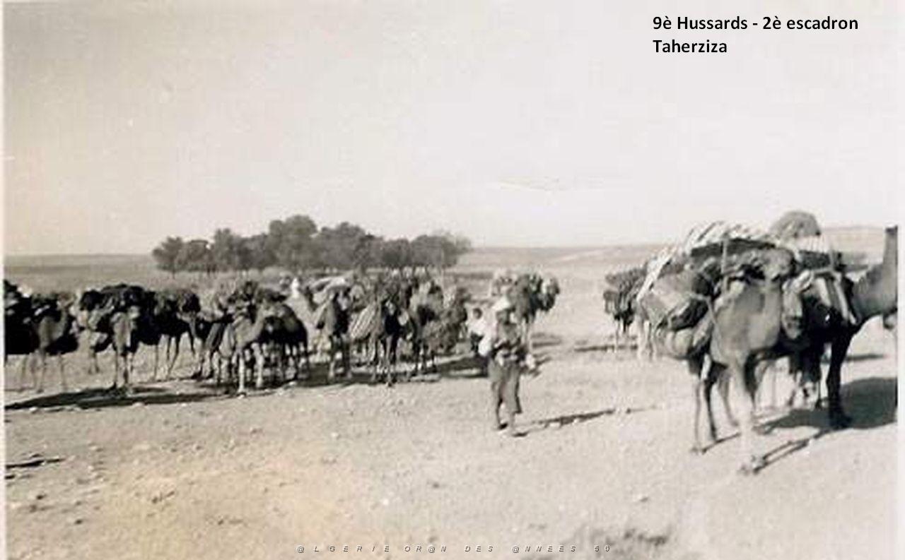 TAHERZIZA-3.jpg