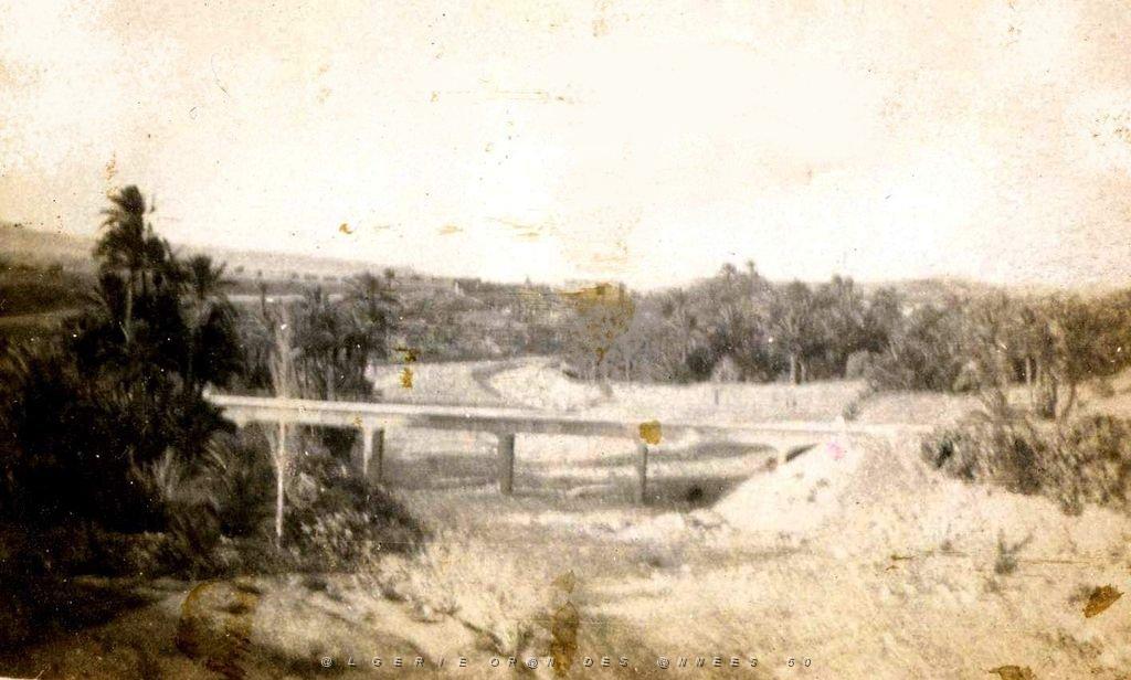 005d.jpg