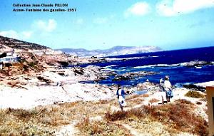 FONTAINE-GAZELLES-1957