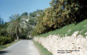 MISSERGHIN-