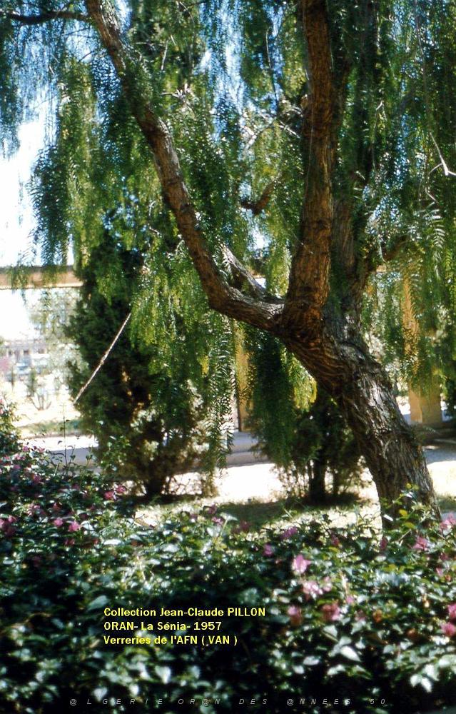 patio2.jpg