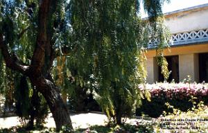 patio4