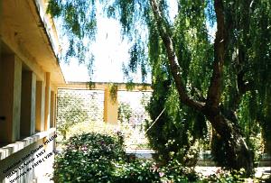 patio6