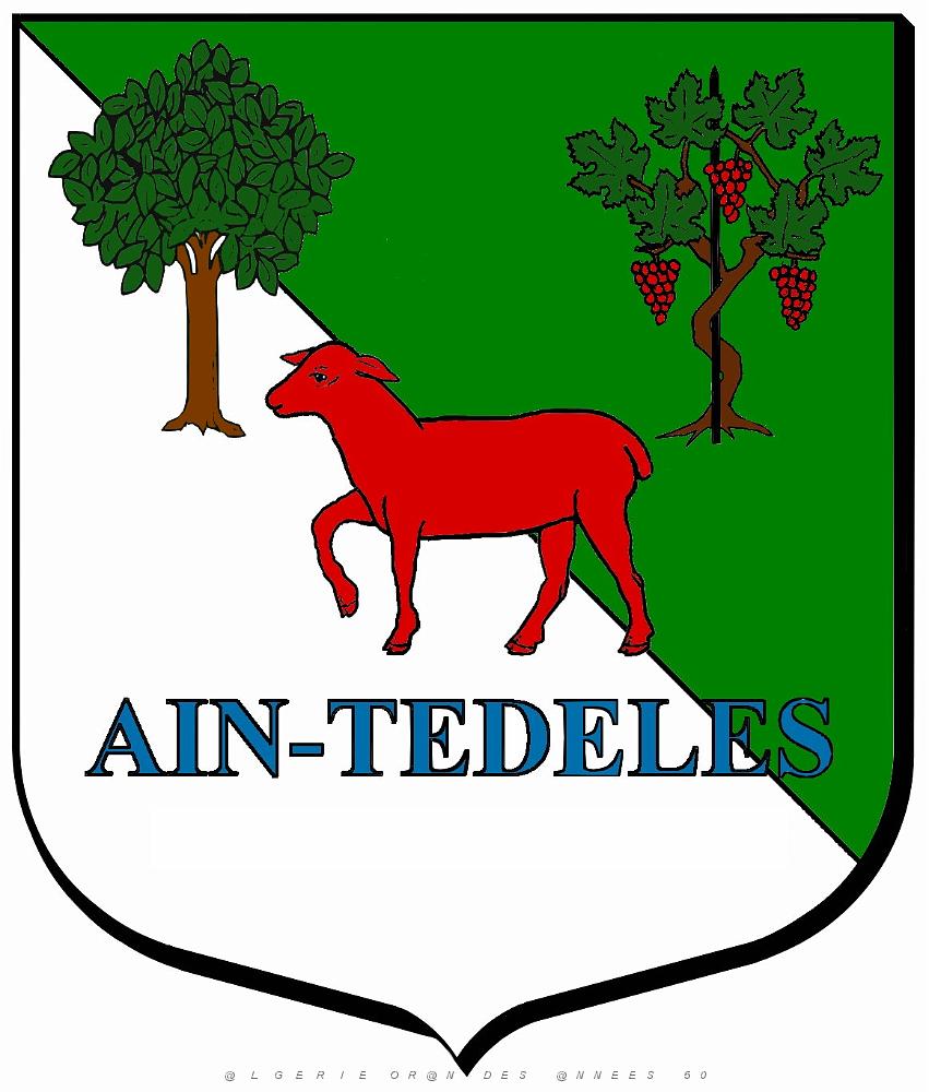 Blason_Ain_Tedeles_association.jpg