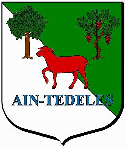 Blason_Ain_Tedeles_association