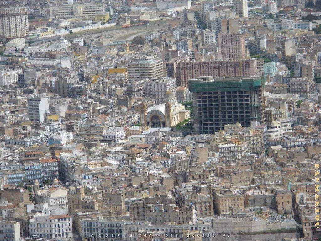 IMGP0295.jpg