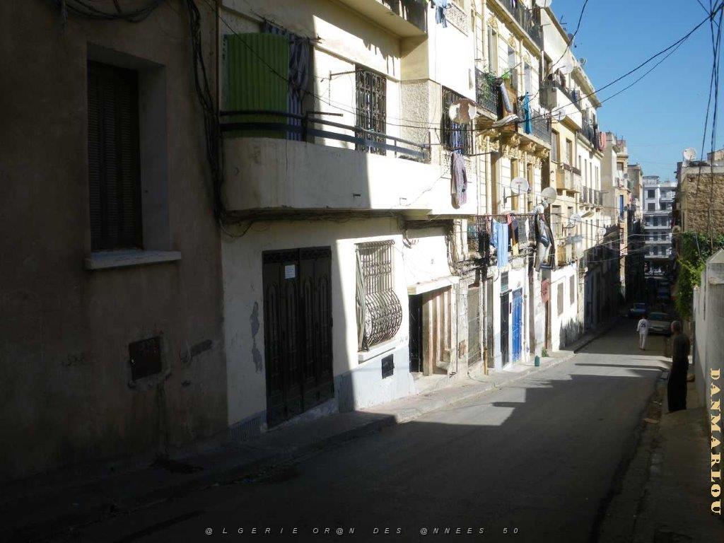 IMGP0490.jpg