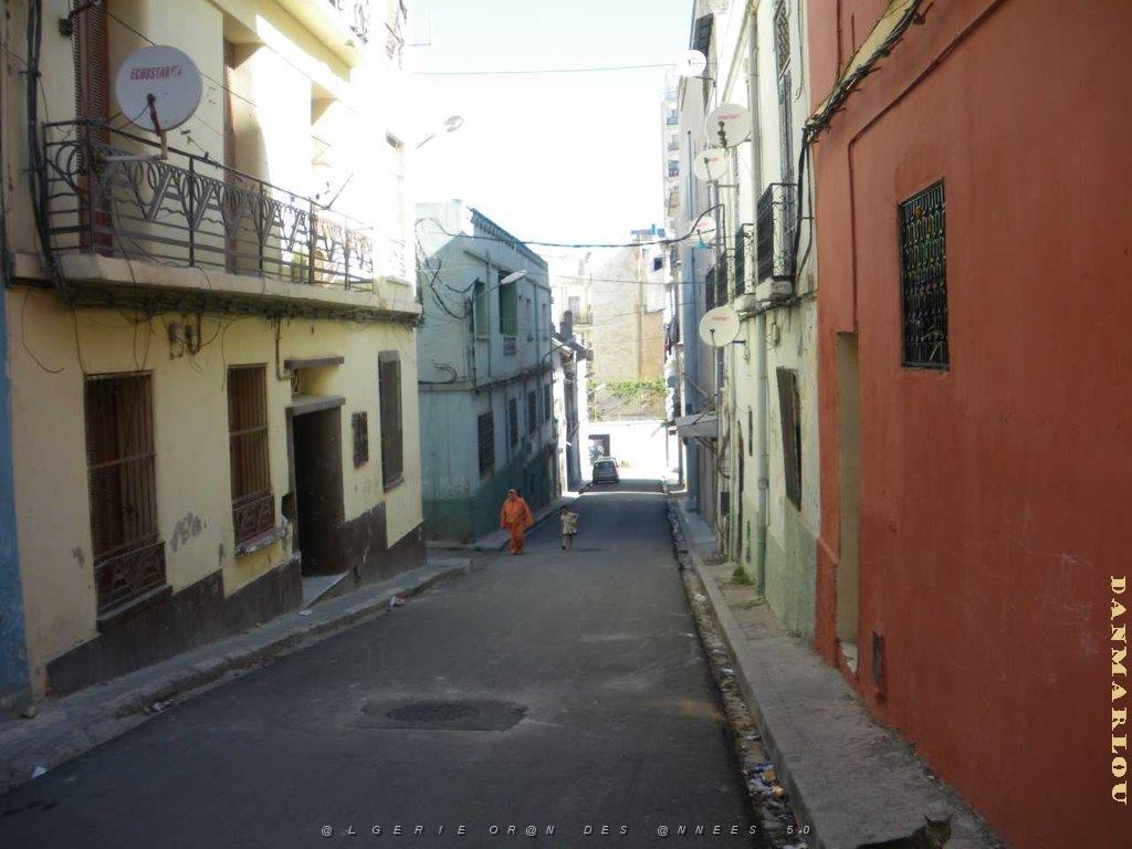 IMGP0494.jpg