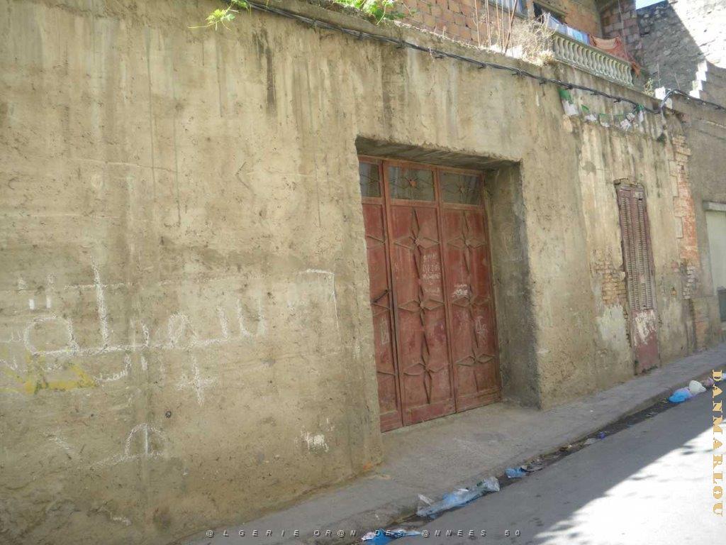 IMGP0497.jpg