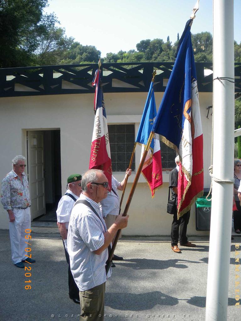 IMGP7286.JPG