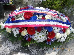 IMGP7262