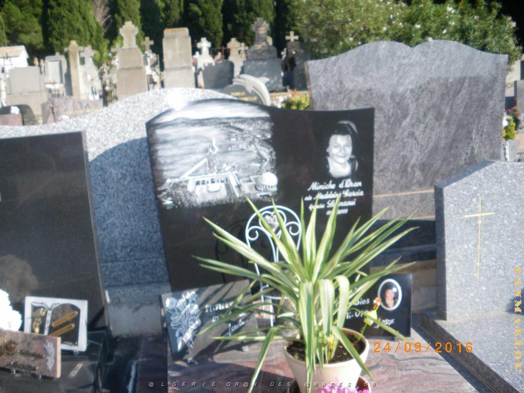 IMGP7376.JPG