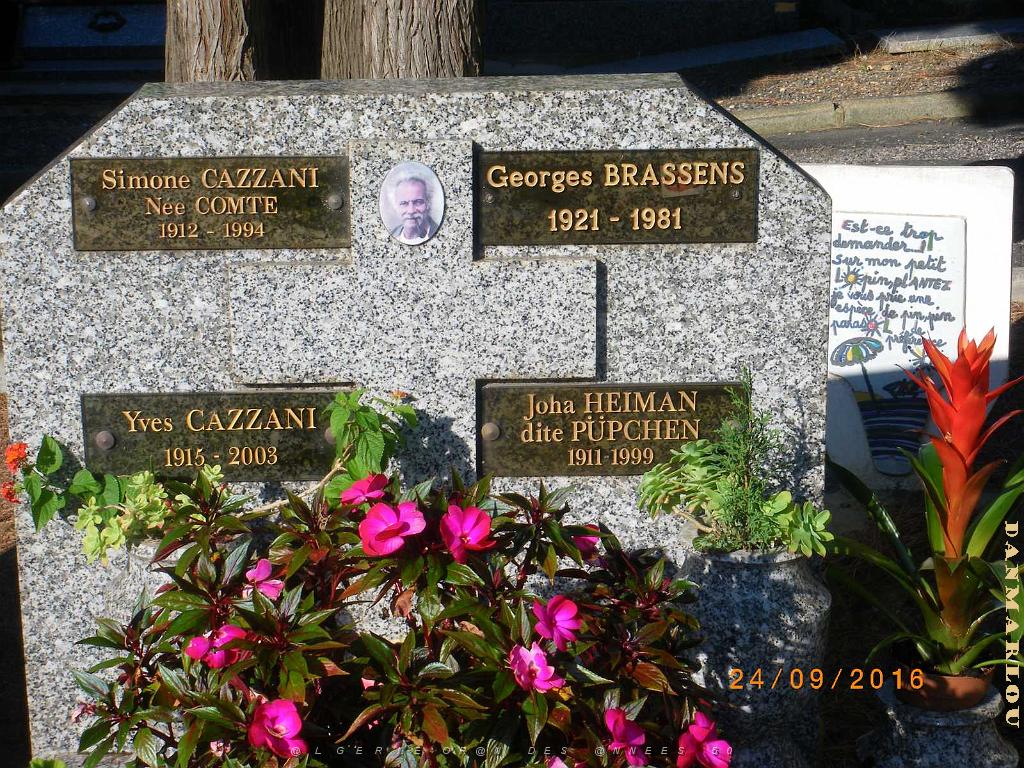 IMGP7377.JPG