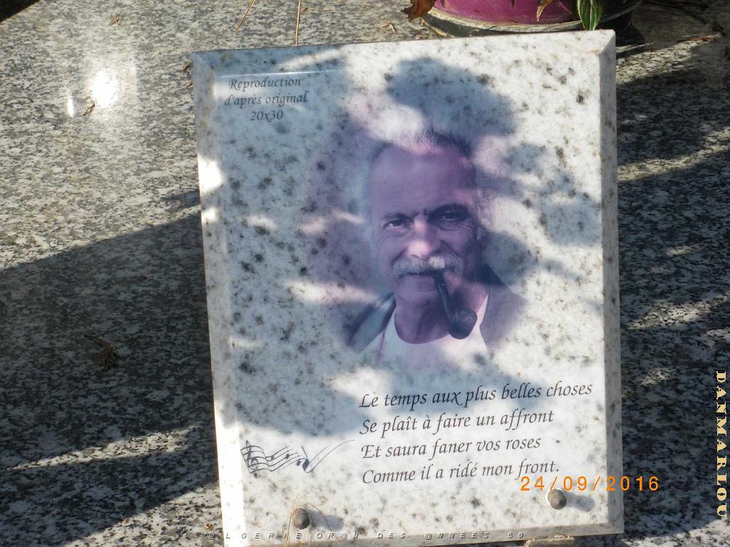 IMGP7378.JPG