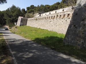 DSCN0526