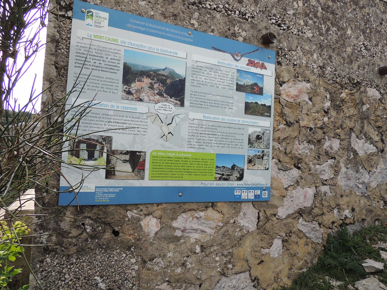 CAUME-DSCN0733.JPG -           